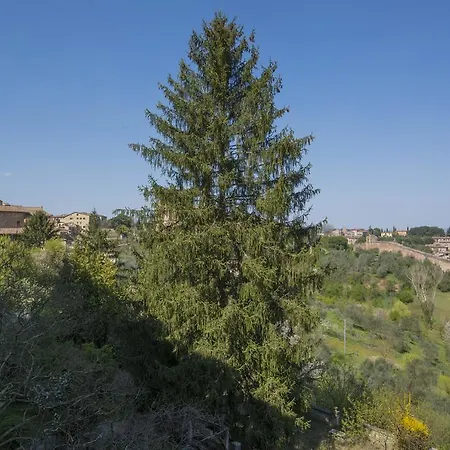 Pantaneto - Palazzo Bulgarini Panzió Siena